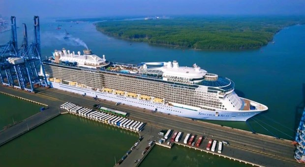 Measures sought to fully tap potential of cruise tourism hinh anh 2