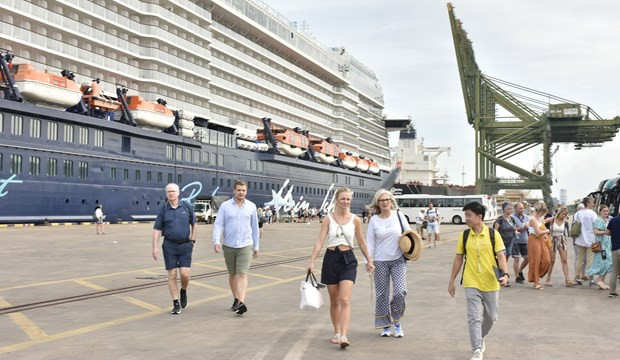 Measures sought to fully tap potential of cruise tourism hinh anh 1