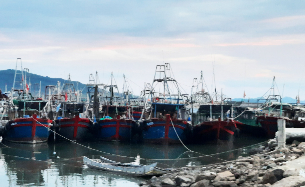 Toàn tỉnh Quảng Ninh đã có 6.005 tàu cá.