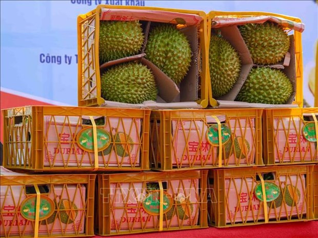 Growing agricultural export to match international standards hinh anh 2