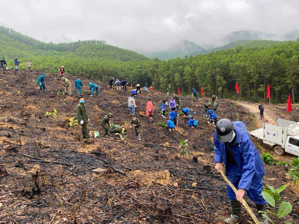 Ra quân trồng rừng gỗ lớn tại xã Đồng Lâm
