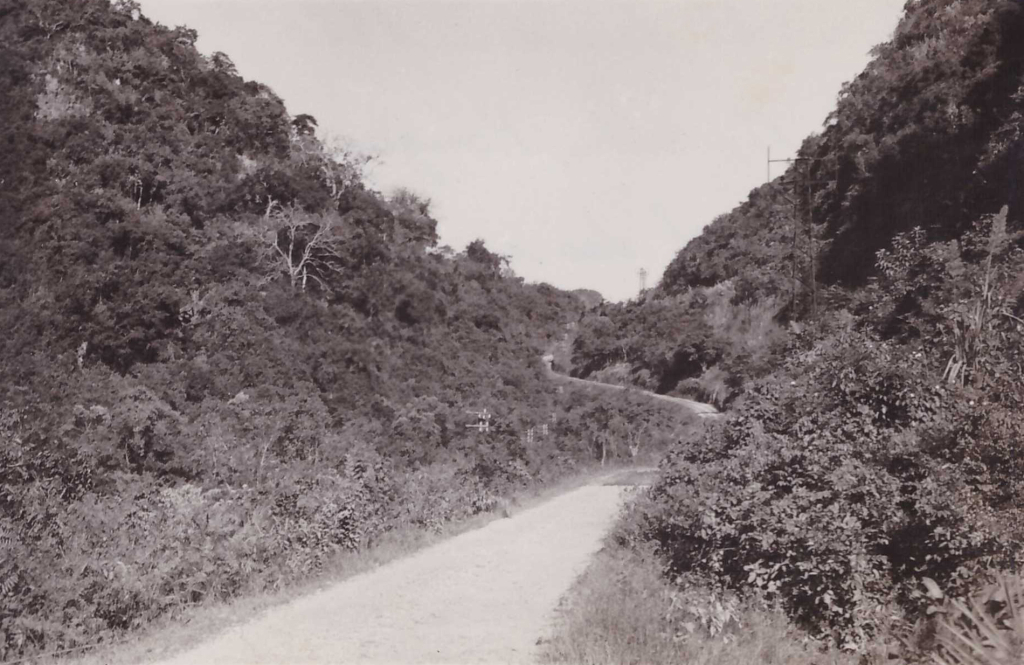 Đèo Bụt nối Hòn Gai với Cẩm Phả đầu những năm 1950. Ảnh: Flick/Mạnh Hải