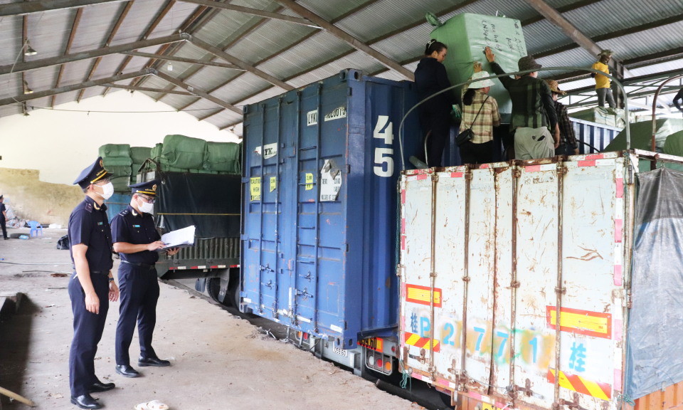 Hoạt động xuất nhập khẩu khởi sắc