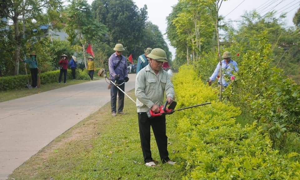 Hiệu quả từ một phong trào