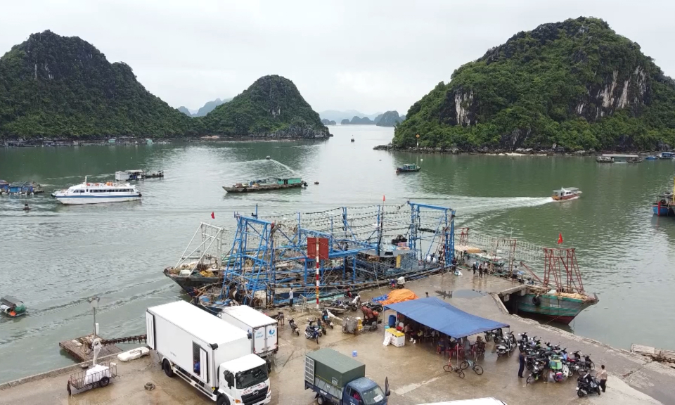 Ghi nhận ở Vân Đồn