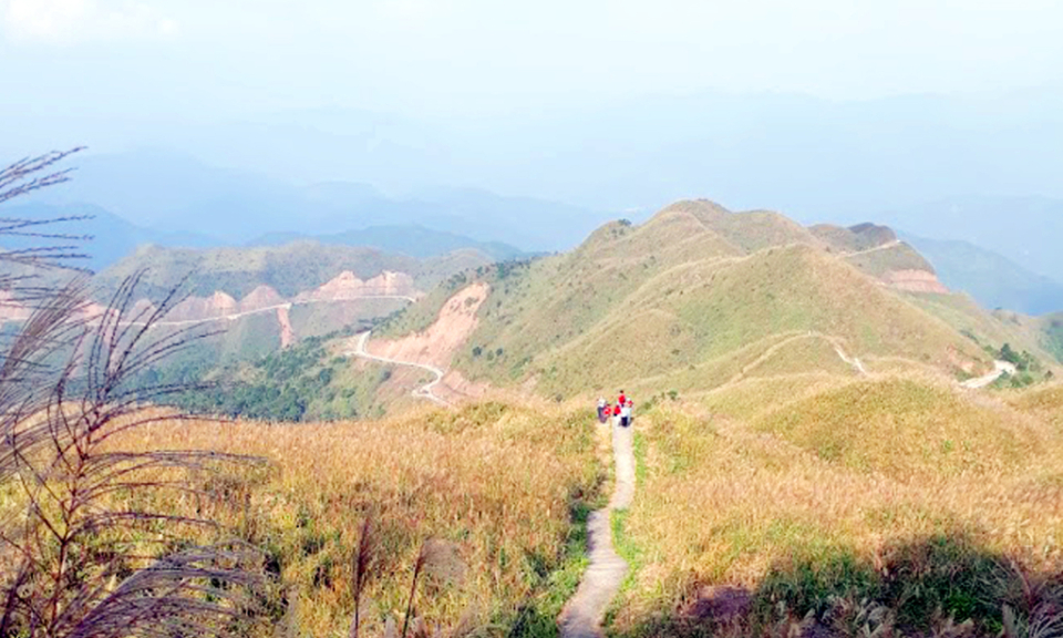 Mơ màng những điểm đến vào thu