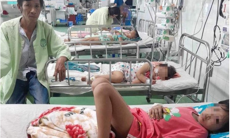 Quảng Nam: Bốn mẹ con bị đàn ong vò vẽ đốt phải nhập viện