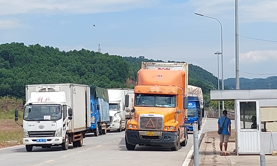Móng Cái: Kim ngạch XNK đạt hơn 12,5 triệu USD trong dịp nghỉ Lễ Quốc khánh 2/9