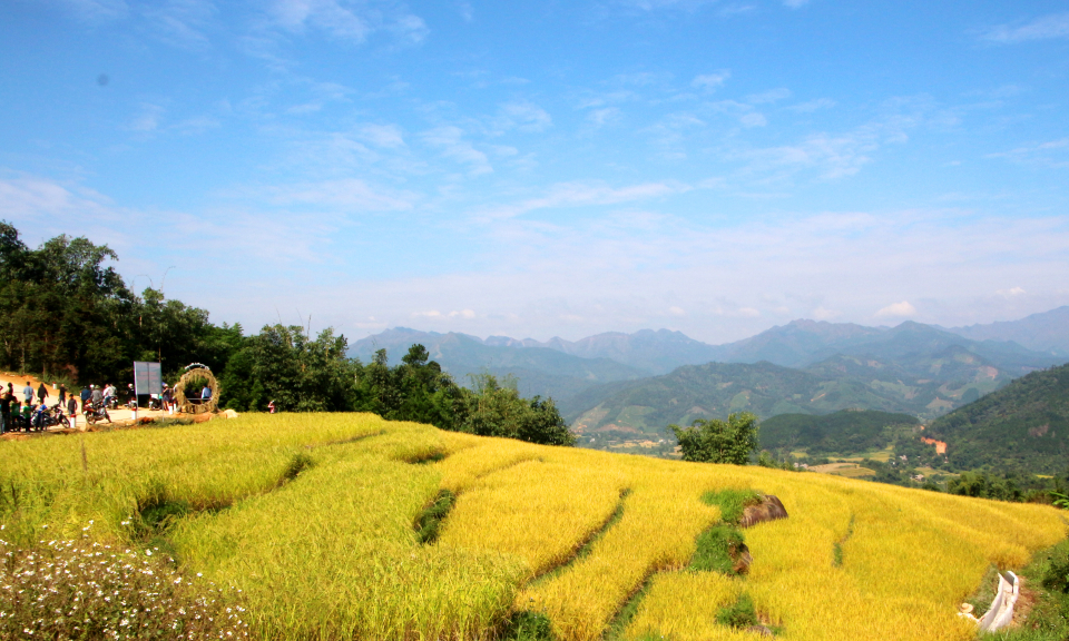 Ruộng bậc thang: Nguyên liệu "vàng" cho phát triển du lịch 