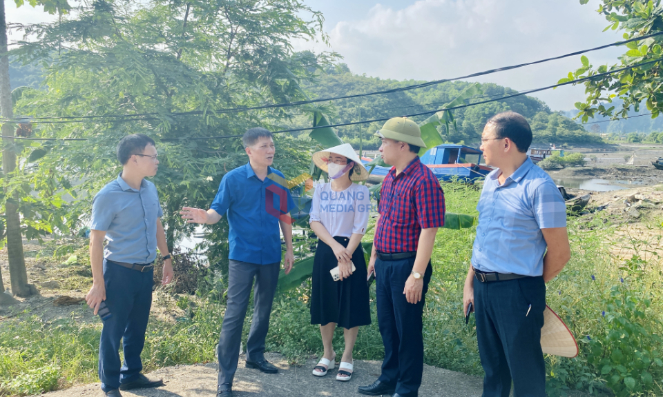 TP Hạ Long: Kiểm tra cấp ủy, người đứng đầu cấp ủy trong công tác quản lý đất đai, tài nguyên, khoáng sản, đầu tư công