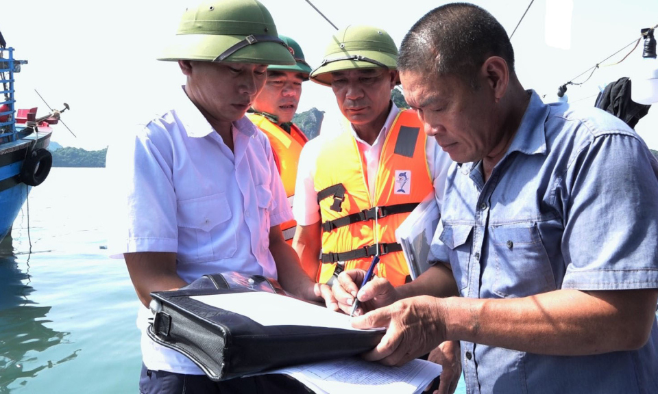 Vân Đồn: Tăng cường kiểm tra, xử lý các hành vi khai thác thủy sản bất hợp pháp