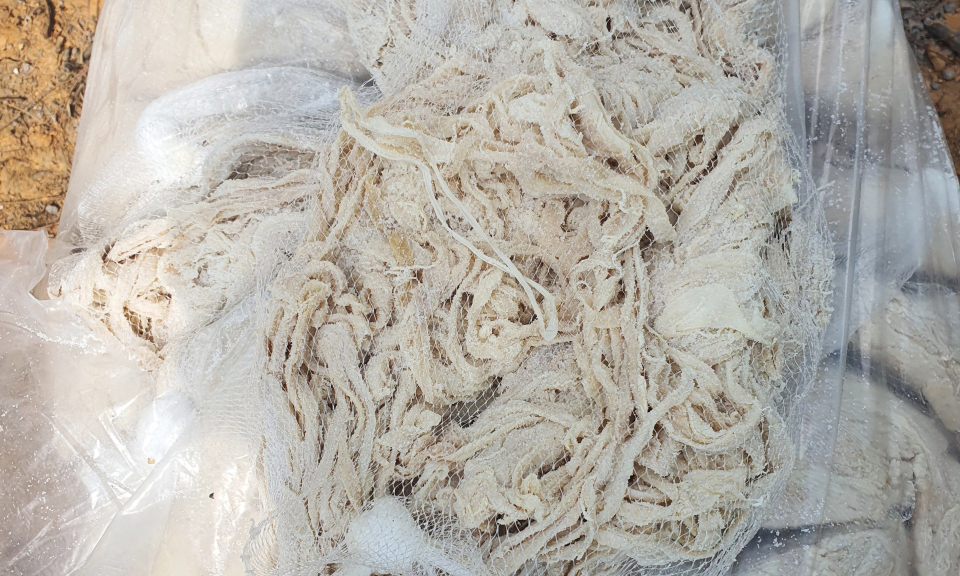 Đồn Biên phòng cửa khẩu Hoành Mô bắt vụ vận chuyển 1.350 kg lòng lợn không rõ nguồn gốc