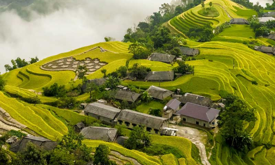 Bản tin vùng Đông Bắc ngày 08/9/2023
