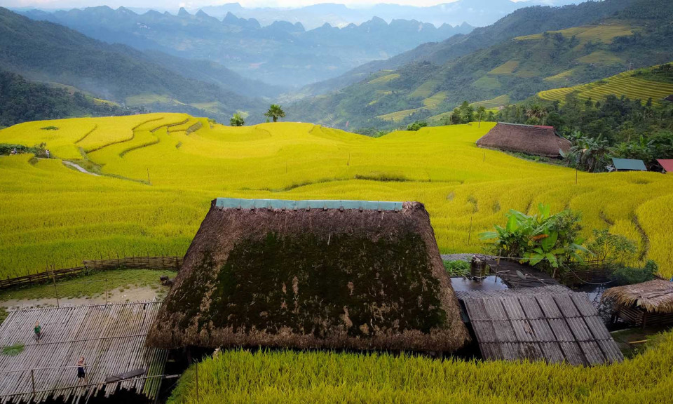 Đến Xà Phìn ngắm lúa vàng, thăm những mái nhà phủ rêu xanh