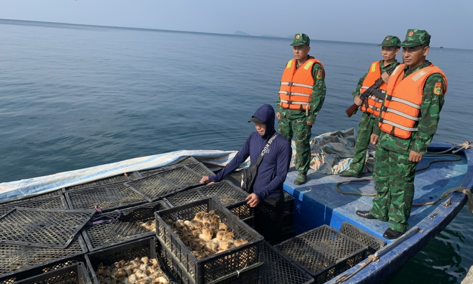 Đồn BP đảo Trần: Đấu tranh hiệu quả với tội phạm trên biển
