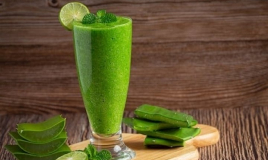 Lợi ích sức khỏe từ cây lô hội