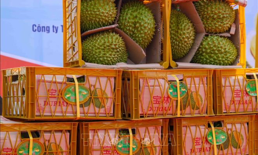Nông sản Việt tham gia sâu hơn vào chuỗi cung ứng nông sản toàn cầu