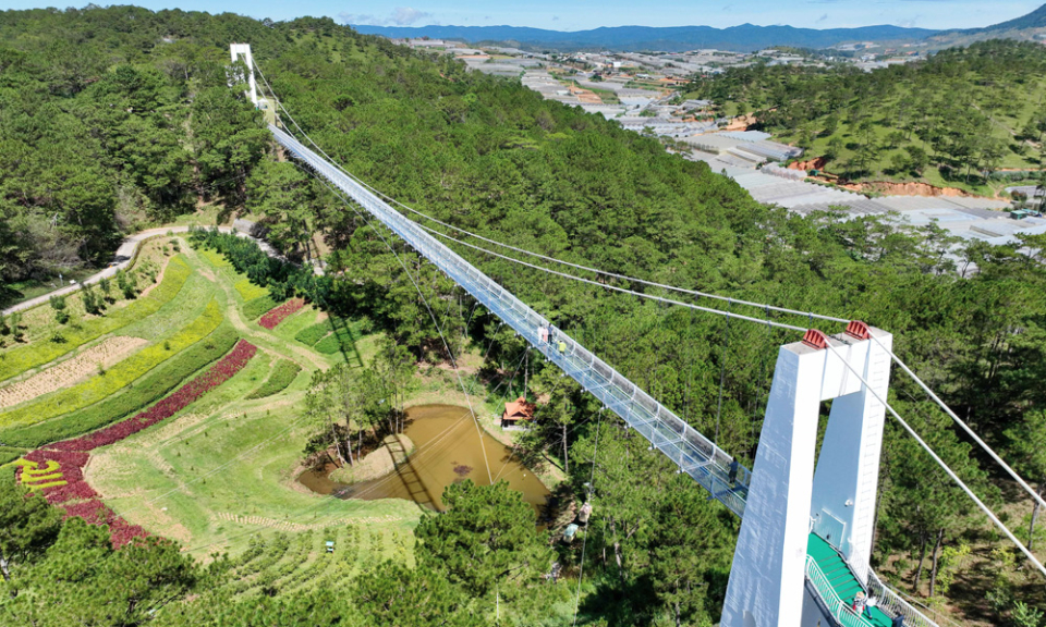 Ngắm cảnh Đà Lạt từ cầu đáy kính Ngàn Thông
