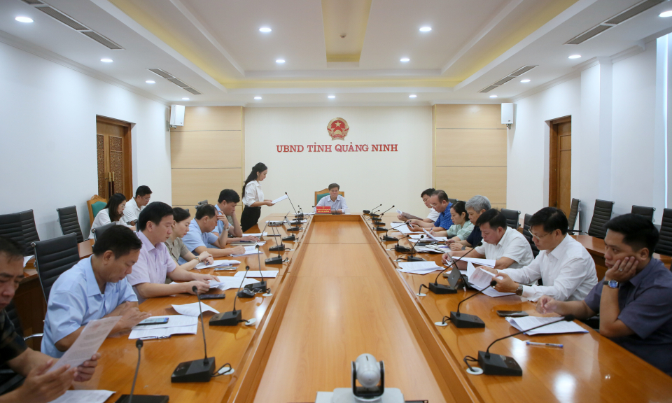 UBND tỉnh họp cho ý kiến về thu hút đầu tư FDI và thu hút đầu tư vào các KCN, KKT