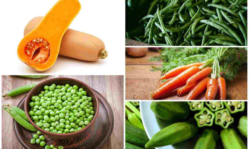10 loại rau giàu chất xơ giúp giảm cân hiệu quả