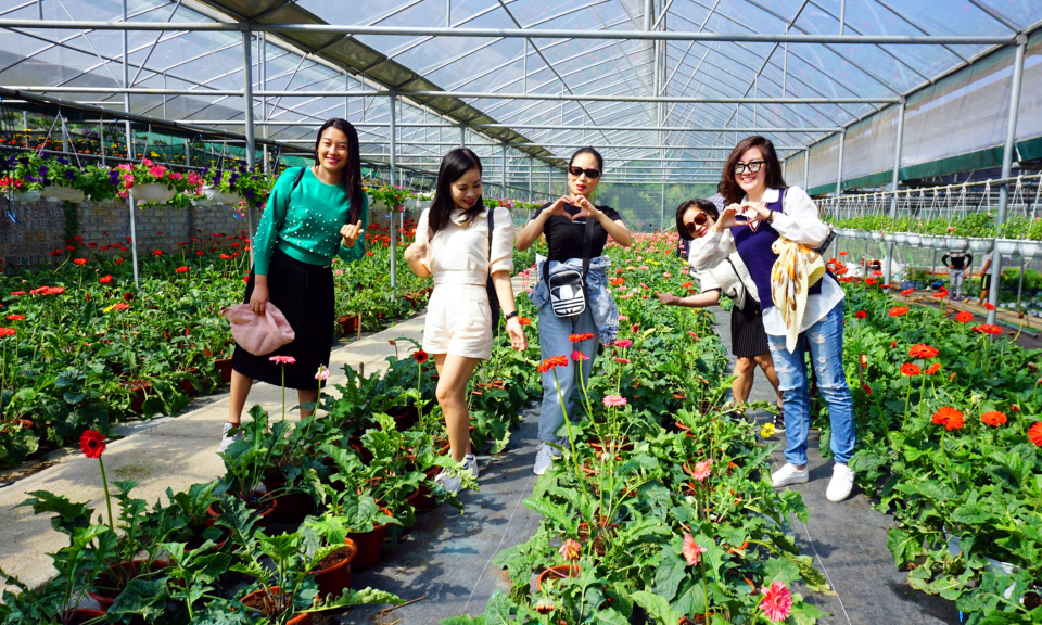 Triển vọng từ du lịch nông nghiệp