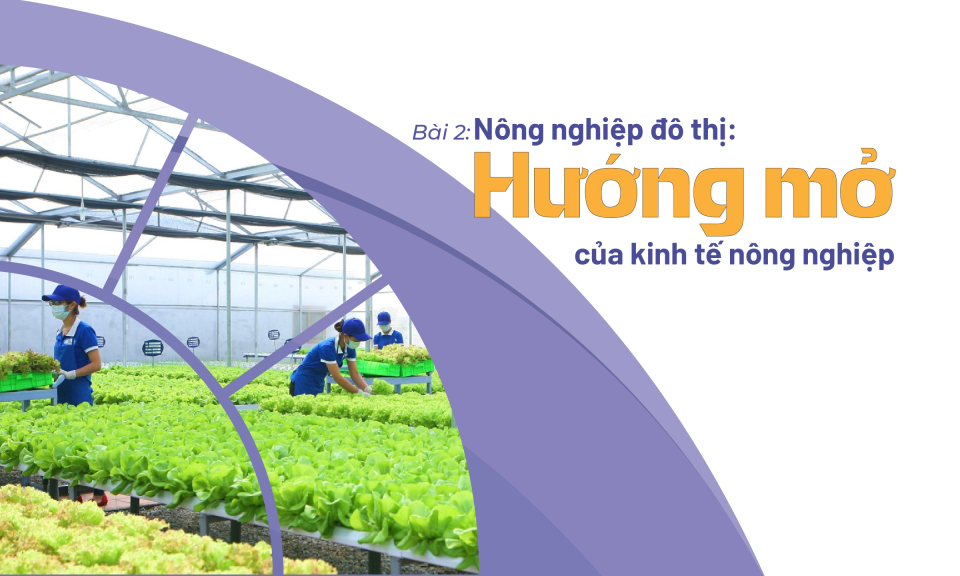 Nông nghiệp đô thị: Hướng mở của kinh tế nông nghiệp