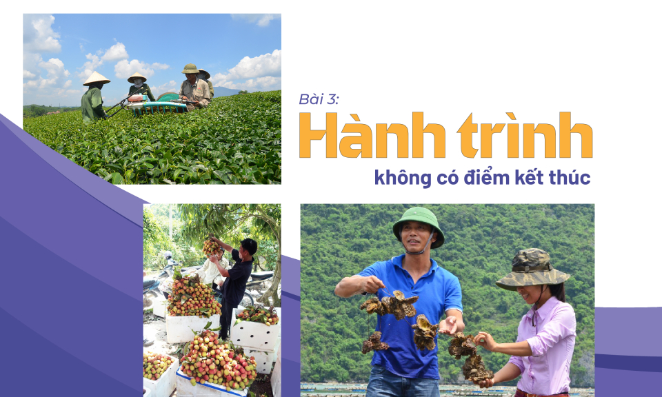 Hành trình không có điểm kết thúc