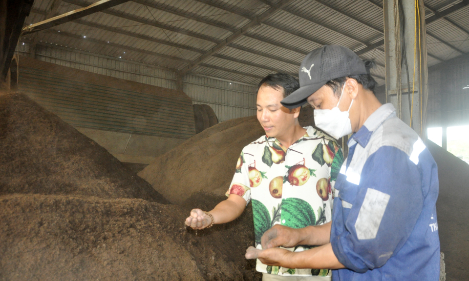 Phạm Tiên Phong với mô hình tái chế nguyên liệu phân bón từ rác