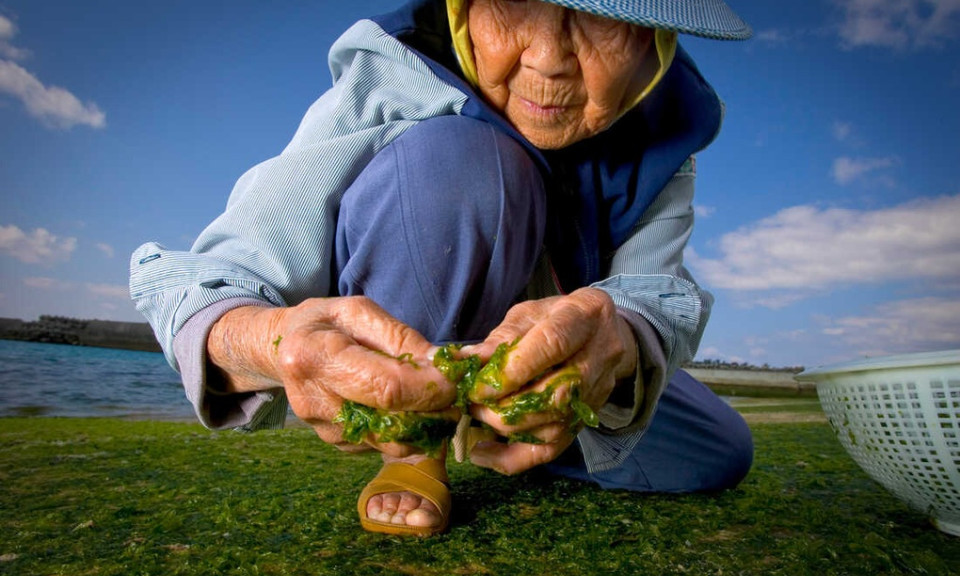 Bí quyết sống thọ của những người dân ở vùng Blue Zones