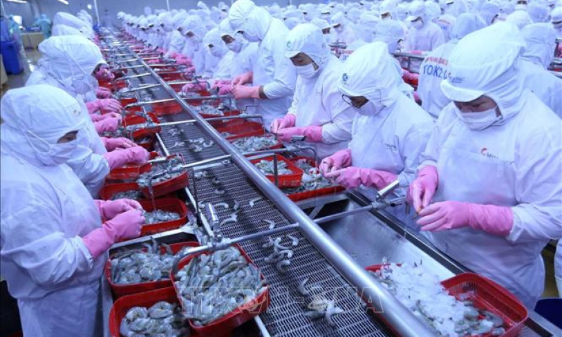 Sản xuất, xuất khẩu dần khởi sắc trở lại