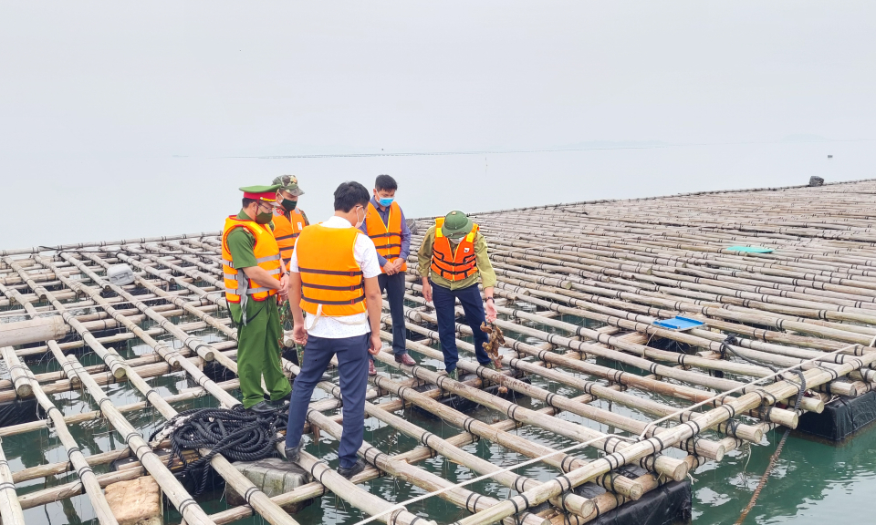 Nhiều khó khăn trong việc giao khu vực biển để NTTS ở Đầm Hà