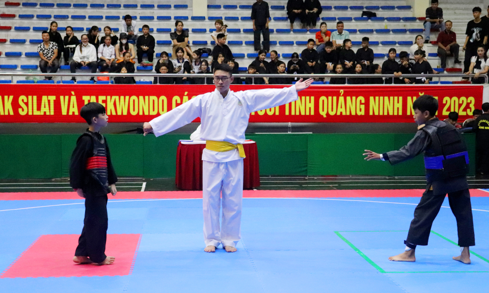 Khai mạc Giải vô địch các lứa tuổi Pencak Silat - Taekwondo tỉnh 2023