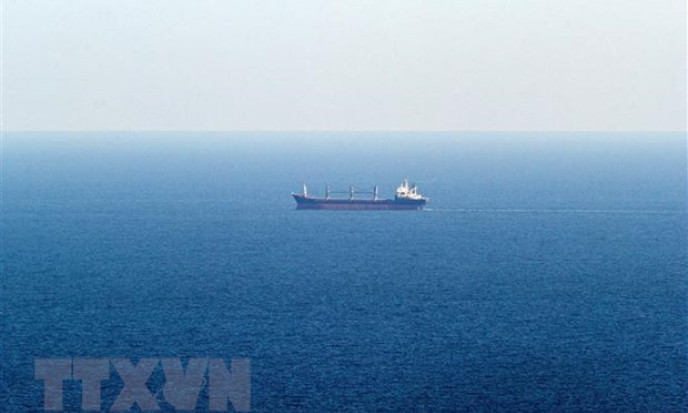 EU kêu gọi thiện chí từ 3 nước láng giềng Ukraine về xuất khẩu ngũ cốc