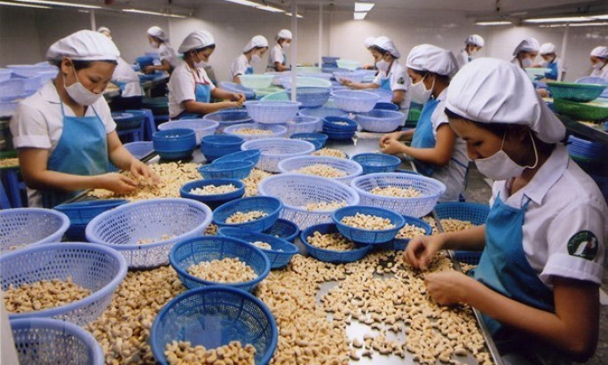 Growing agricultural export to match international standards