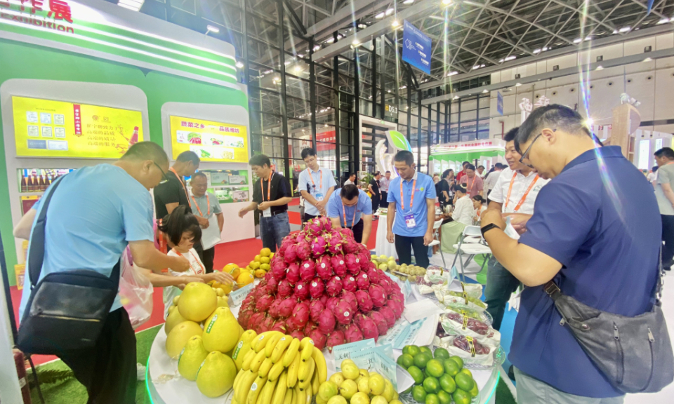 第20届中国——东盟博览会在南宁举行