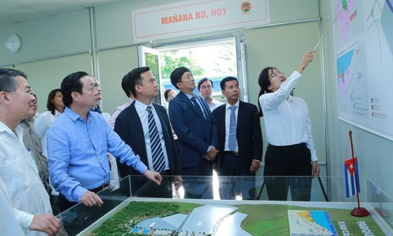Economic diplomacy helps tighten Vietnam - Cuba special ties: Deputy PM 
