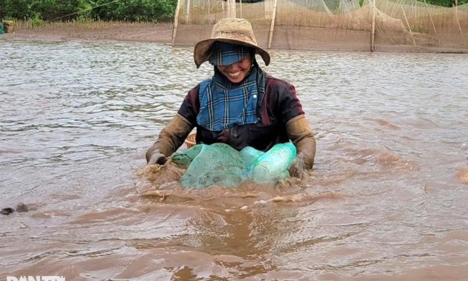Nam thanh niên mất tích trong lúc khai thác ngao trên biển