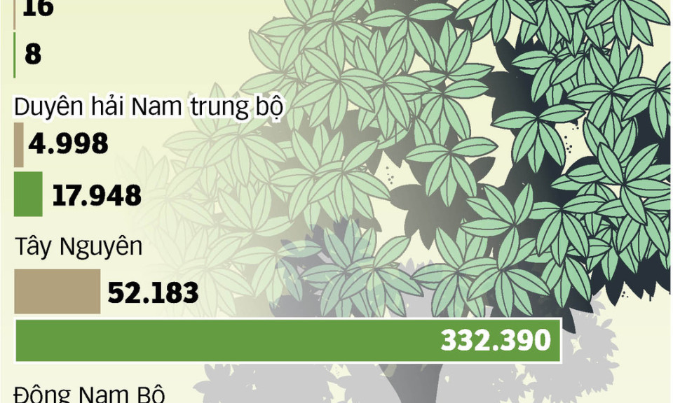 8 tháng xuất khẩu sầu riêng đạt 1,2 tỉ USD