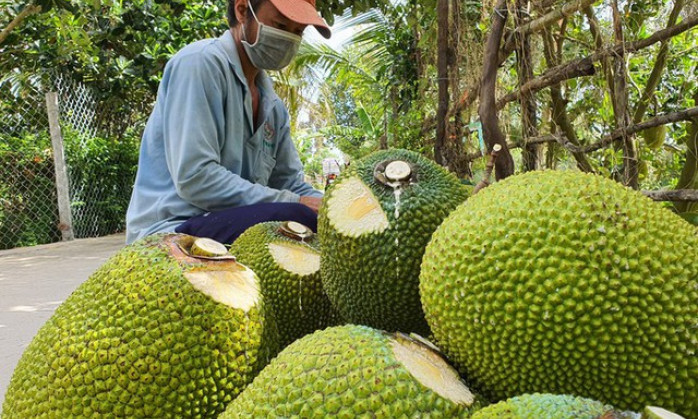 Kim ngạch xuất khẩu tăng tháng thứ 4 liên tiếp