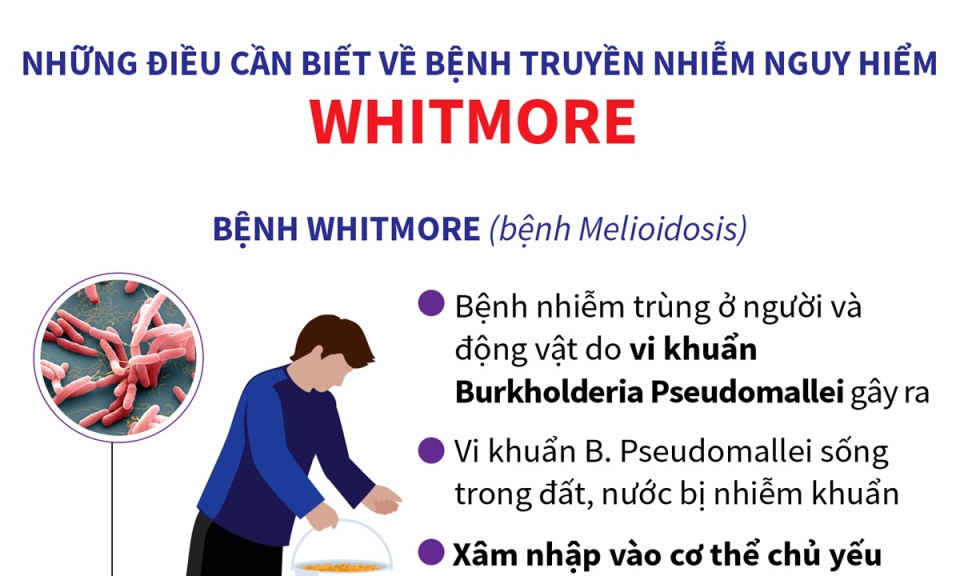 Điều cần biết về bệnh truyền nhiễm nguy hiểm Whitmore