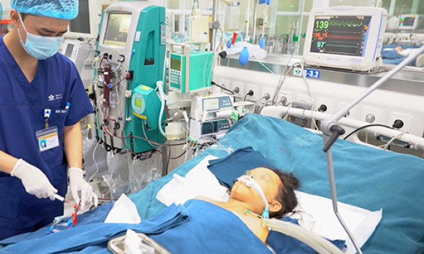 Bị ong đốt hơn 100 nốt, bé trai 10 tuổi tử vong do bị suy đa tạng, rối loạn đông máu