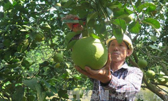 Bản tin vùng Đông Bắc ngày 25/9/2023
