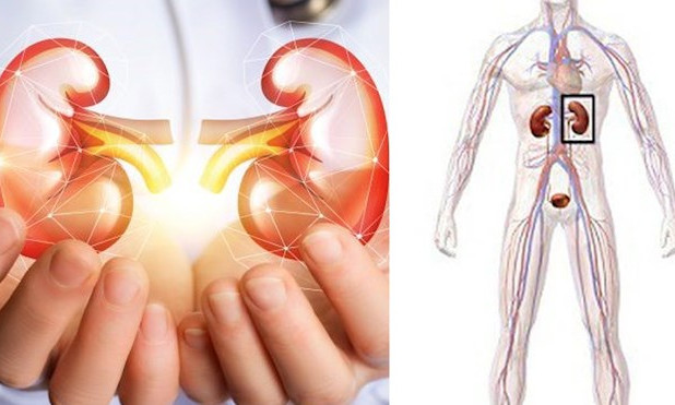 Những lưu ý để giảm nguy cơ mắc bệnh thận
