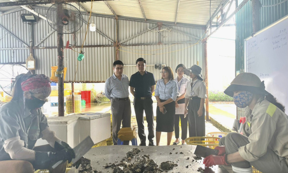 Thúc đẩy hợp tác chuyển giao công nghệ