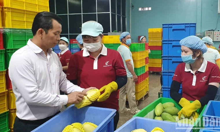 Gian nan bài toán xây dựng thương hiệu cho nông sản tại thị trường EU