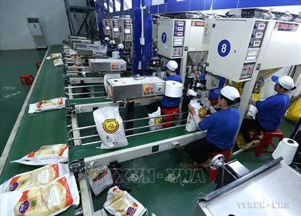 Vietnam rice exports surge to new record revenue hinh anh 2