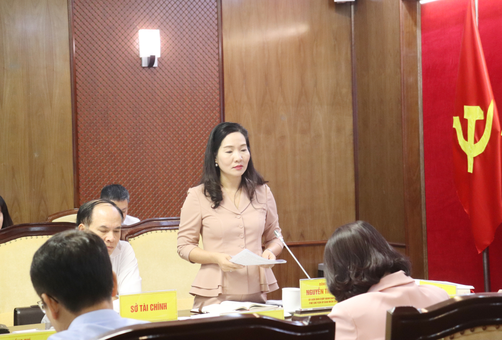 Đồng chí Nguyễn Thị Hạnh, Phó Chủ tịch UBND tỉnh, phát biểu tại hội nghị.