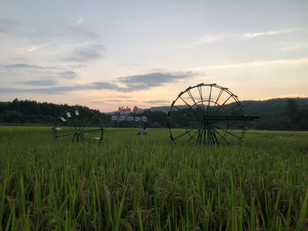 Ngày hội Văn hoá dân tộc Tày huyện Ba Chẽ năm sau sẽ được tổ chức tại cánh đồng thôn Bắc Xa sau vụ gặt.