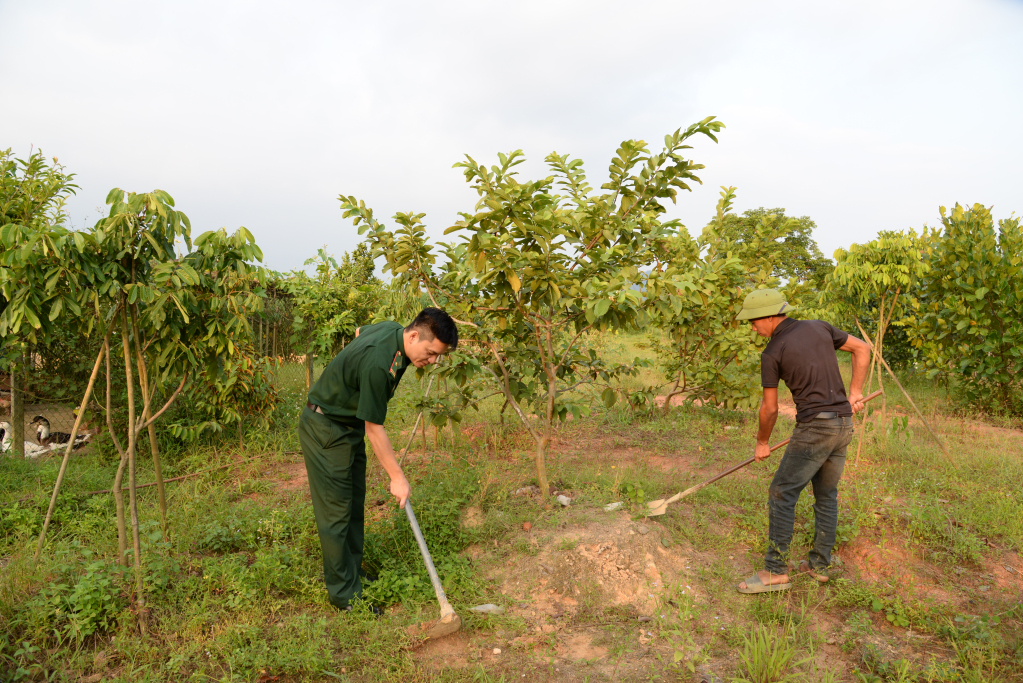 Cán bộ Đồn Biên phòng Bắc Sơn hỗ trợ gia đình anh Hà Văn Minh chăm sóc vườn cây ăn quả.