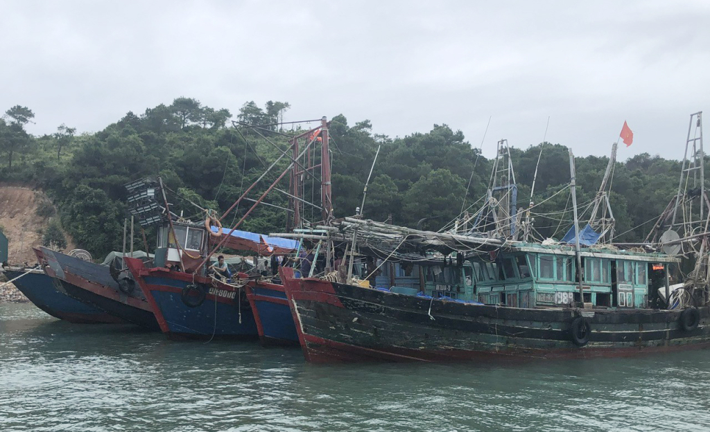 Các tàu cá vi phạm bị bộ đội biên phòng bắt giữ